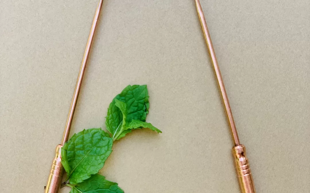 Un geste simple à adopter dans sa routine quotidienne.